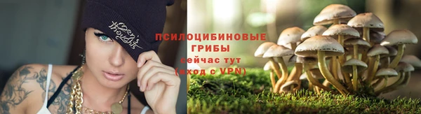 синтетический гашиш Гусиноозёрск