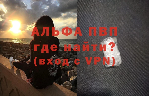СК Гусев