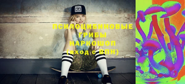 СК Гусев