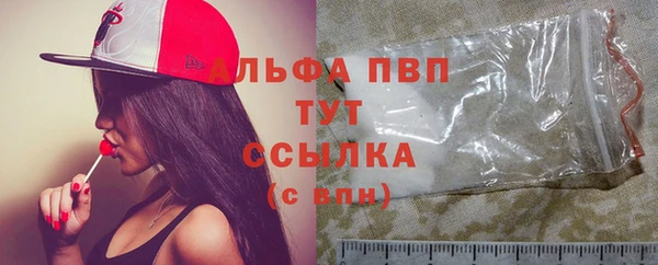 СК Гусев