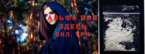 СК Гусев