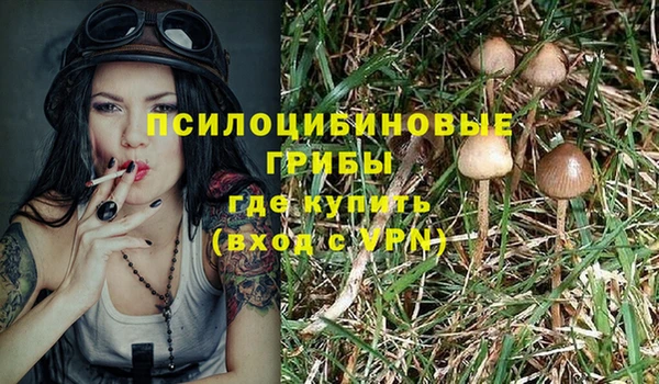 а пвп мука Дмитров